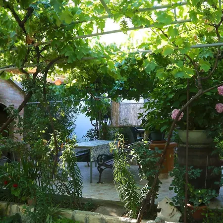 Simicic *